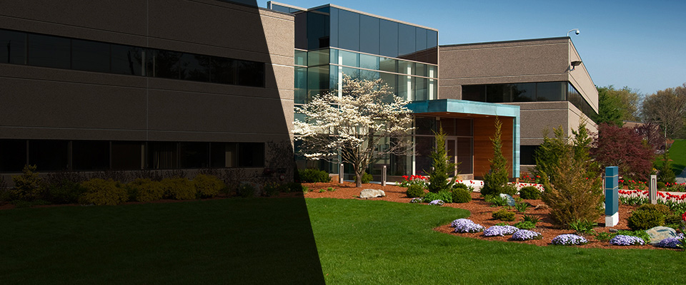 Greenwich Landscapers