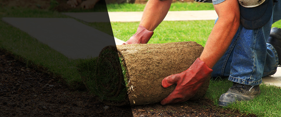 Greenwich Landscapers